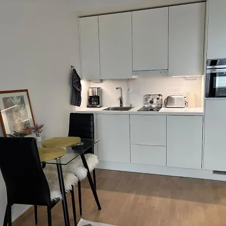 Nearby Airport 2 Apartment Vantaa